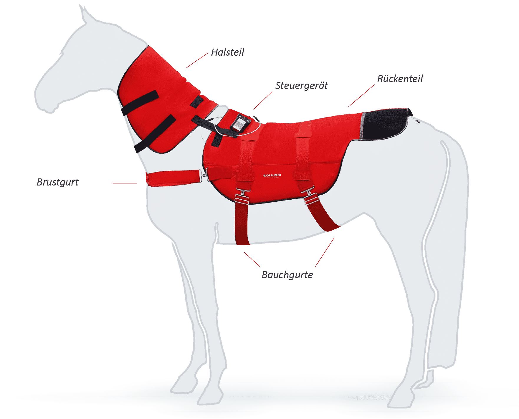 Equusir Bios blankt on a horse