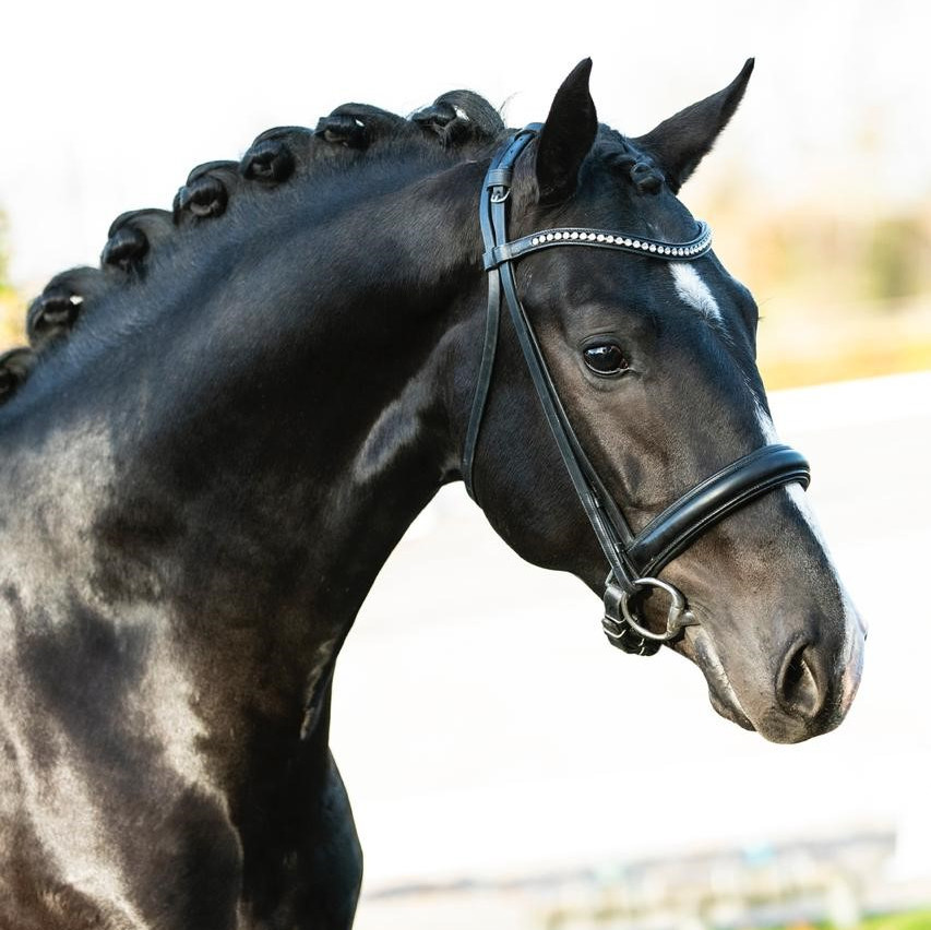 Equi-Facility